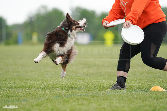 RielVisuals_20240526_090435_SJR09019