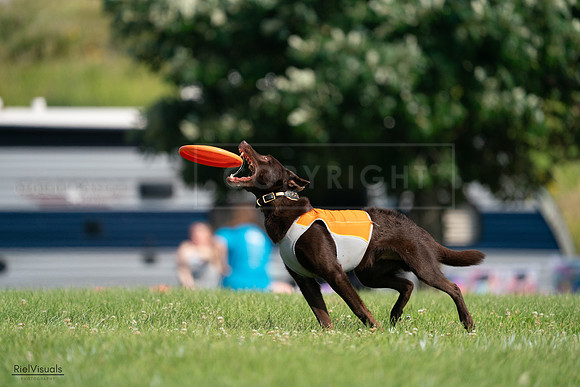 RielVisuals_20240728_095845_SJR06835