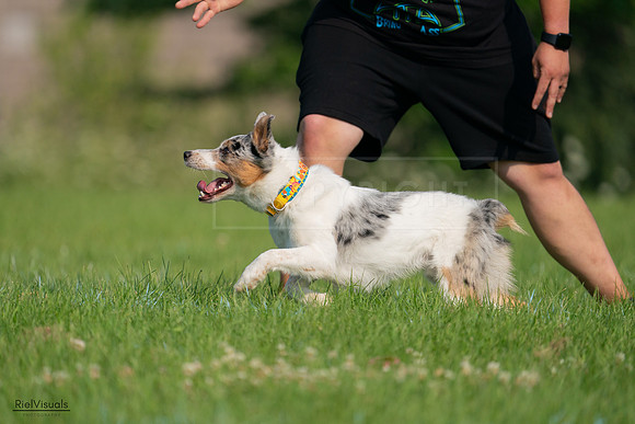 RielVisuals_20240727_092245_SJR06120