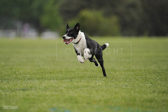RielVisuals_20240526_093444_SJR00463