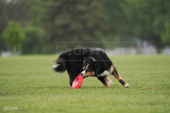 RielVisuals_20240526_094559_SJR00957