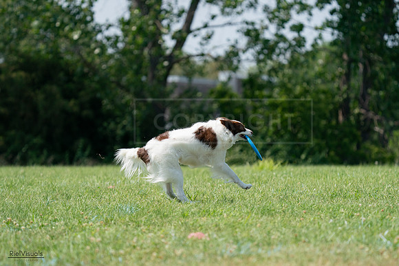 RielVisuals_20240728_145417_SJR09512
