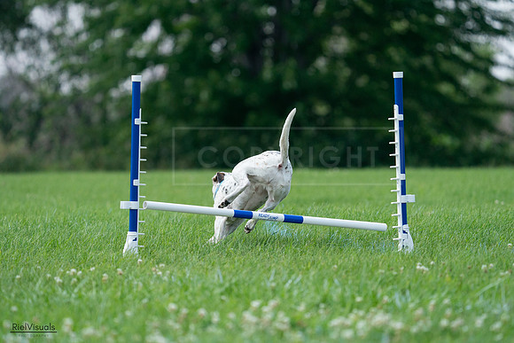 RielVisuals_20240727_145138_SJR01441