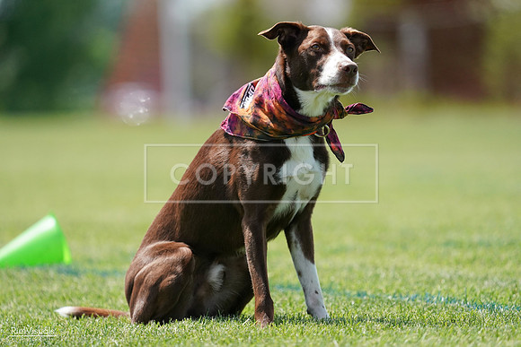 RielVisuals_20240525_121921_SJR09448