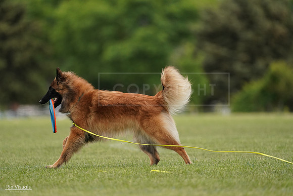 RielVisuals_20240526_134729_SJR09077