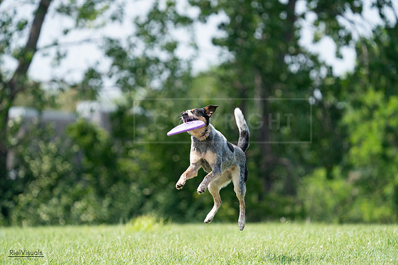 RielVisuals_20240728_143541_SJR08659