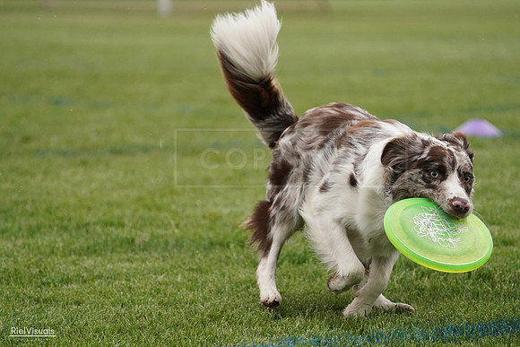 RielVisuals_20240526_091504_SJR09542