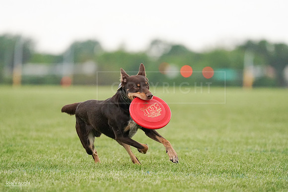 RielVisuals_20240526_095707_SJR01473