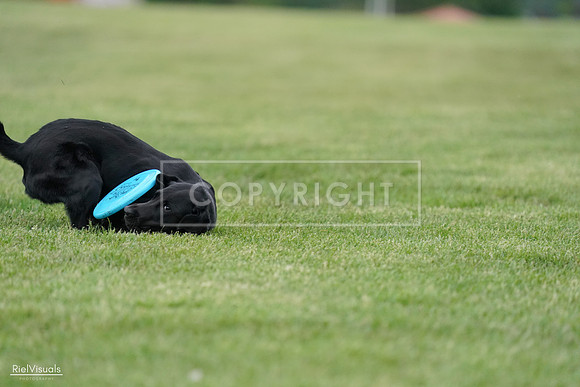 RielVisuals_20240525_170457_SJR06011