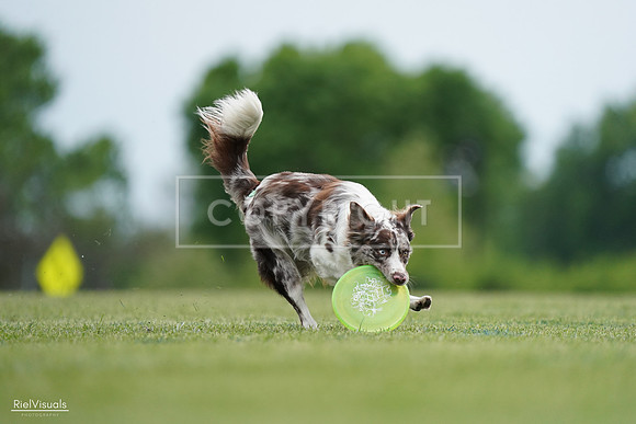 RielVisuals_20240525_161058_SJR03707
