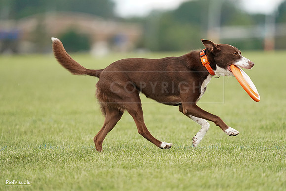 RielVisuals_20240527_140315_SJR01303