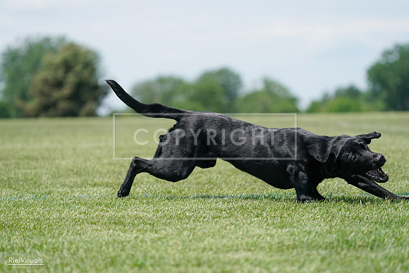 RielVisuals_20240525_123343_SJR00390
