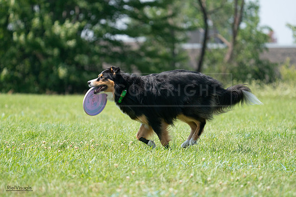 RielVisuals_20240728_142927_SJR08358