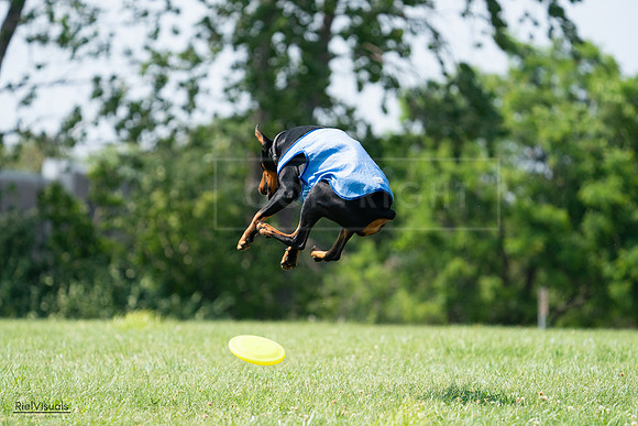 RielVisuals_20240728_145802_SJR09680