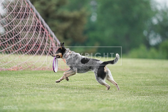 RielVisuals_20240525_170046_SJR05817