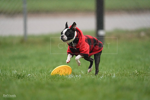 RielVisuals_20240429_180436_SJR06570