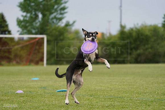 RielVisuals_20240526_134441_SJR08956