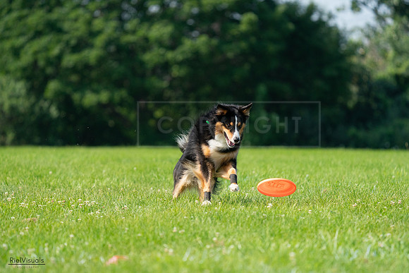 RielVisuals_20240728_100303_SJR07055