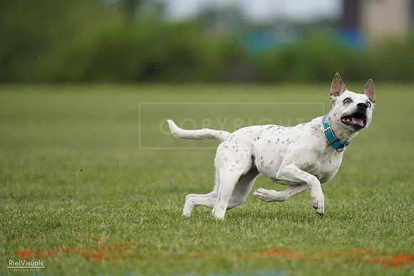 RielVisuals_20240526_090740_SJR09107