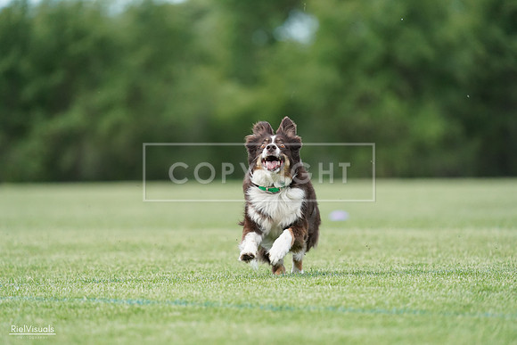 RielVisuals_20240525_090414_SJR09550