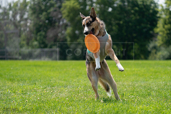 RielVisuals_20240728_140331_SJR07914