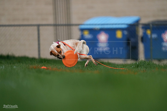 RielVisuals_20240506_172347_SJR04563