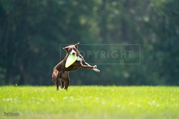 RielVisuals_20240727_123201_SJR05753