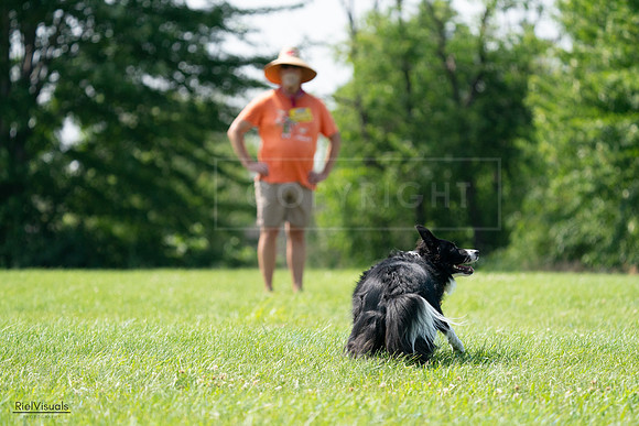 RielVisuals_20240728_152222_SJR00673