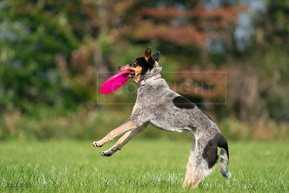 RielVisuals_20240727_093848_SJR07046