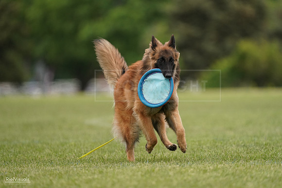 RielVisuals_20240526_134754_SJR09138