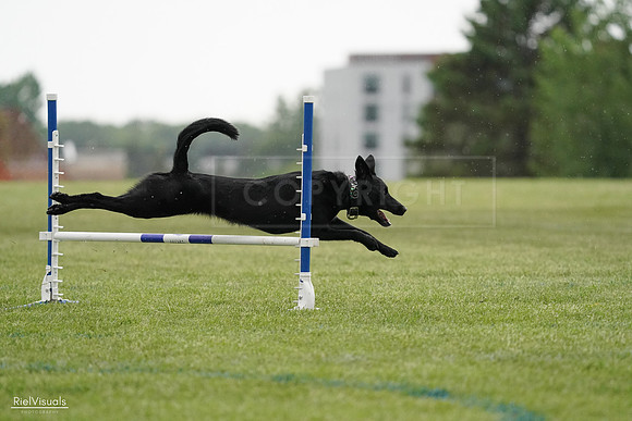 RielVisuals_20240526_092232_SJR09764
