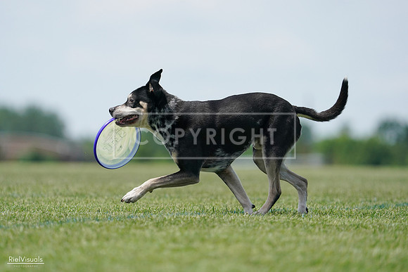 RielVisuals_20240525_123126_SJR00159