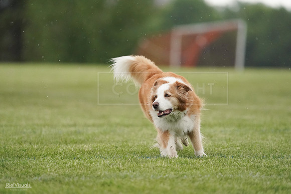 RielVisuals_20240526_094024_SJR00745