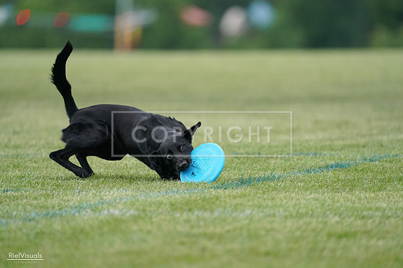 RielVisuals_20240525_170429_SJR05983