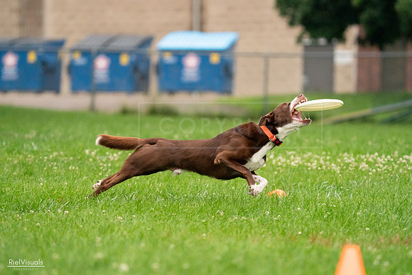 RielVisuals_20240722_191813_SJR00458