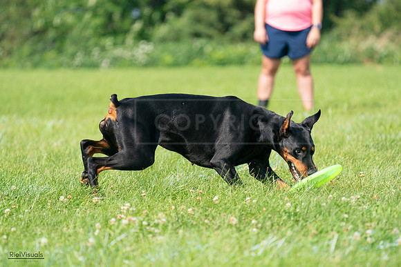 RielVisuals_20240728_103520_SJR08586