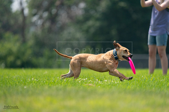 RielVisuals_20240727_131637_SJR07441