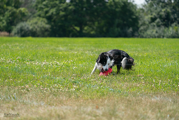 RielVisuals_20240728_130411_SJR04989