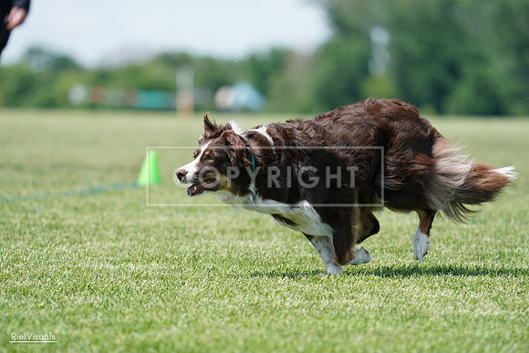 RielVisuals_20240525_120021_SJR08276