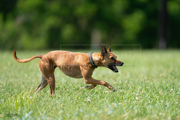 RielVisuals_20240728_150145_SJR09817