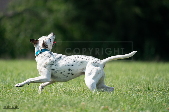 RielVisuals_20240728_151521_SJR00388
