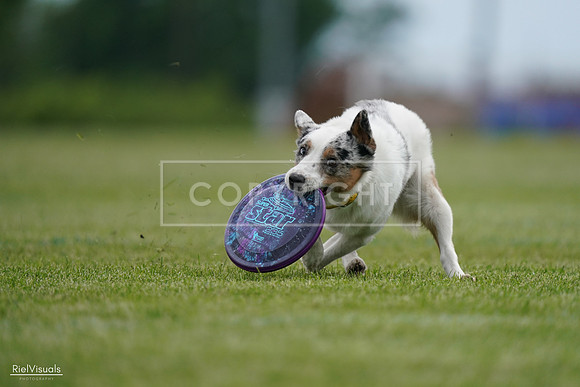RielVisuals_20240525_161312_SJR03874
