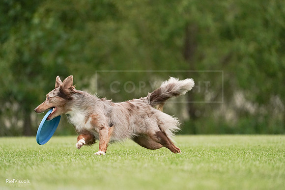 RielVisuals_20240526_130012_SJR06446