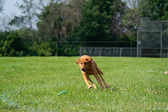 RielVisuals_20240728_103943_SJR08785