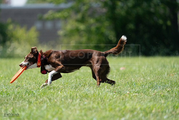 RielVisuals_20240728_151106_SJR00286