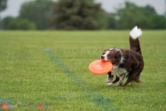 RielVisuals_20240527_091342_SJR06525
