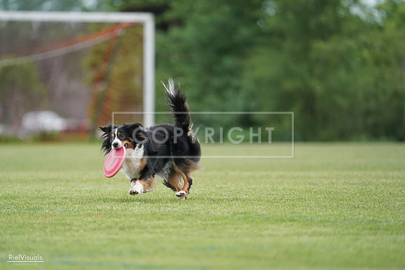 RielVisuals_20240525_164634_SJR05462