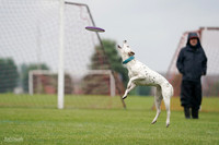 Toss & Catch World Qualifier