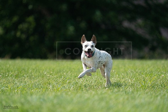 RielVisuals_20240728_151530_SJR00401