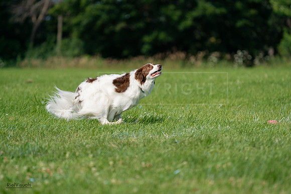 RielVisuals_20240728_102146_SJR07927